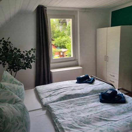 Hotel - Haus Biasca Gurtnellen エクステリア 写真